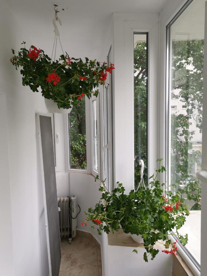 Coffee Residence Βουκουρέστι Εξωτερικό φωτογραφία
